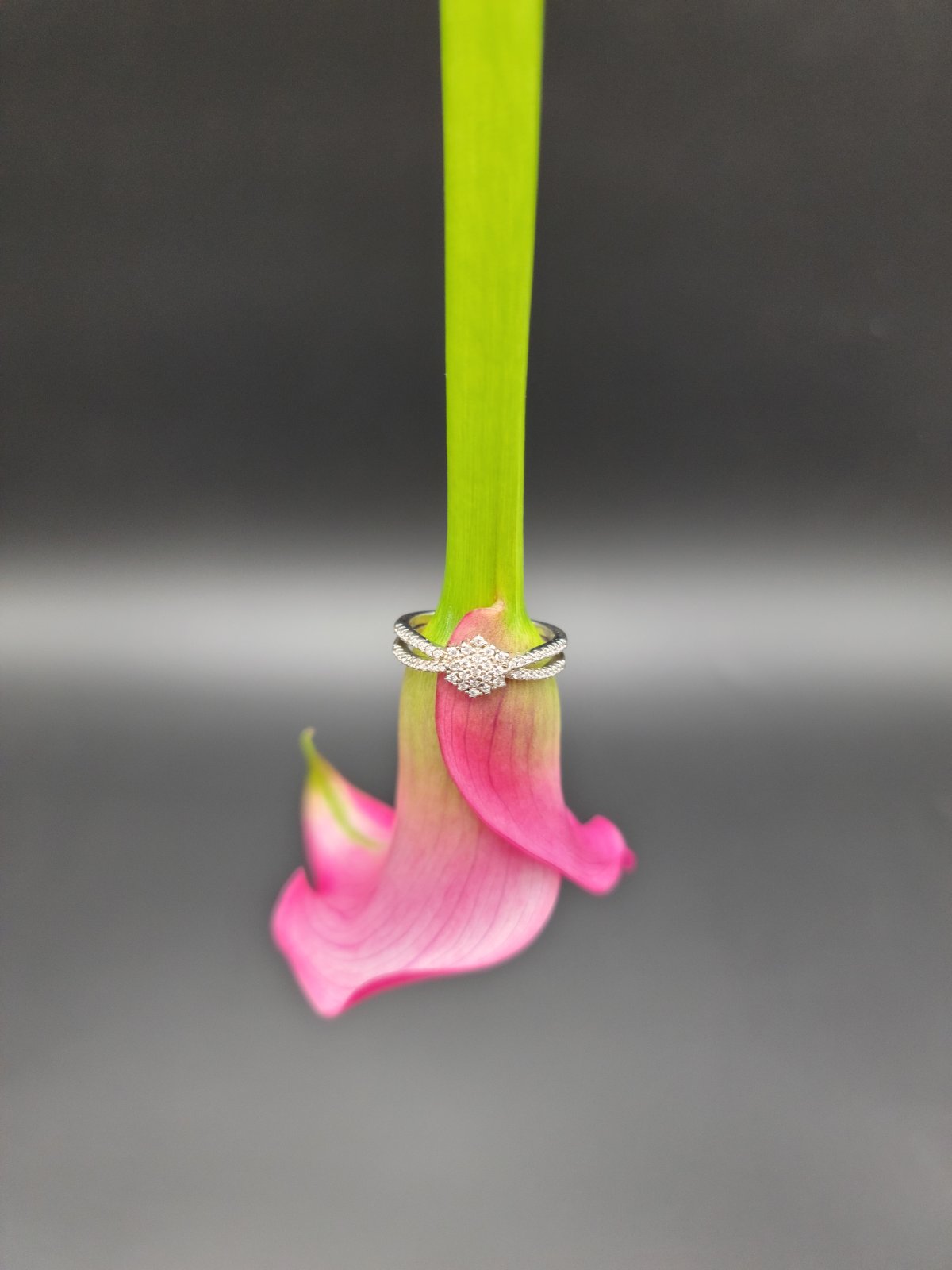 Eleganza Intrecciata