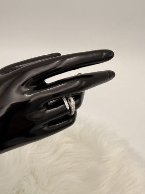 Serpente d’Argento - 2