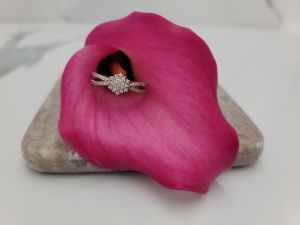 Fiocco d’Argento - 2