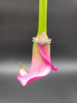 Fiocco d’Argento - 1