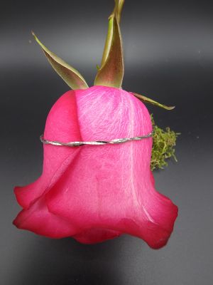 Twisted Silver Ankle Chain - 2