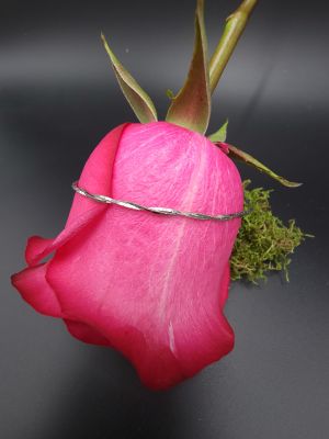 Twisted Silver Ankle Chain - 1