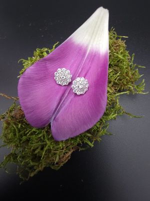 Silver Blossom Shine - 1