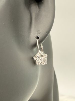 Fiore di Brillanza - 2