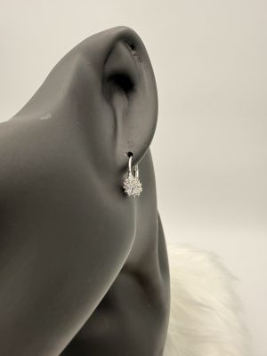 Sole di Brillanza - 2