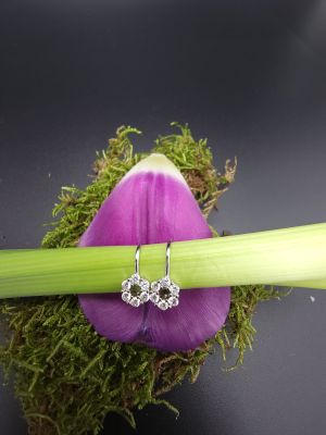 Fior di Cristallo - 1