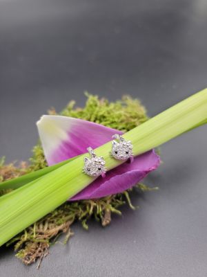 Gatto d’Argento - 2