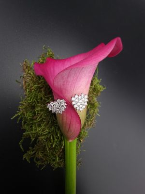 Luminous Blossom - 1