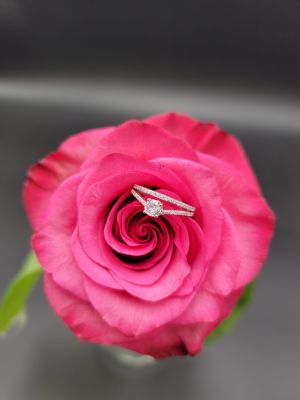 Cuore di Cristallo - 1