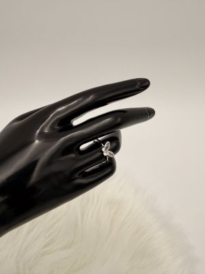 Ali di Cristallo - 2