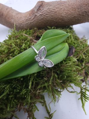 Ali di Cristallo - 1