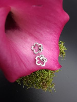 Fiore di Fortuna - 1