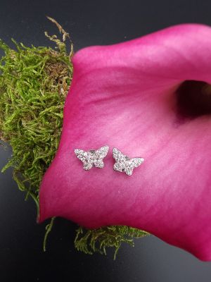 Farfalla di Neve - 1