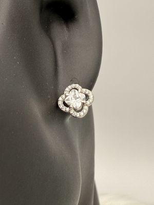 Fiore di Ghiaccio - 2