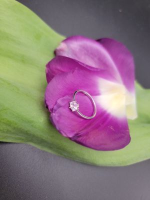 Sole di Cristallo - 2