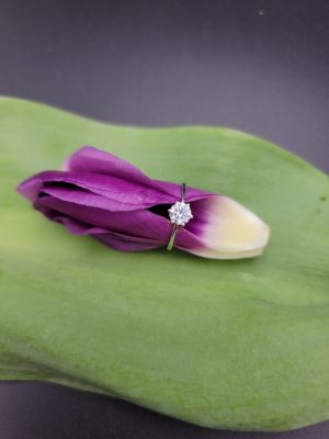 Sole di Cristallo - 1