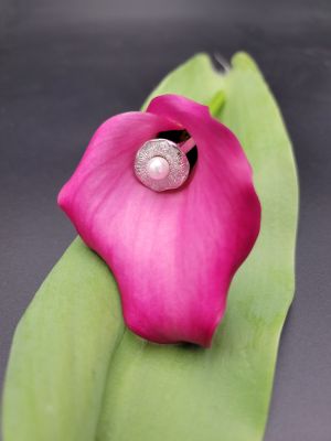 Ninfea d’Argento - 1