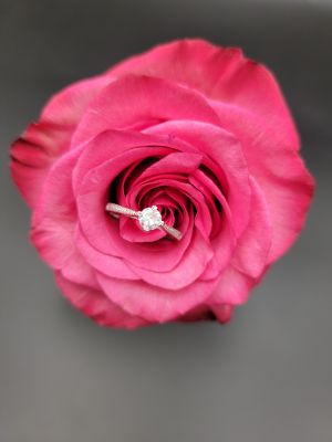 Brillante Sottile - 1