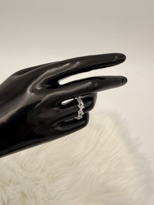 Ghiaccio di Lusso - 1