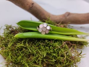 Fiore di Primavera - 1