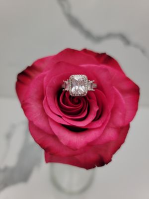 Regina di Cristallo - 1