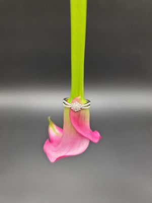 Eleganza Intrecciata - 1