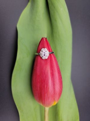 Fiore di Cristallo - 1