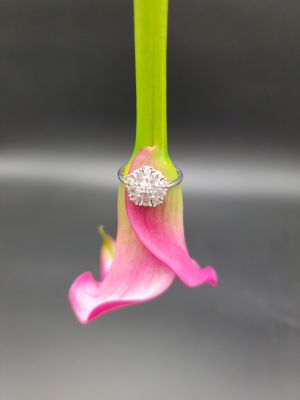 Fiore di Cristallo - 1