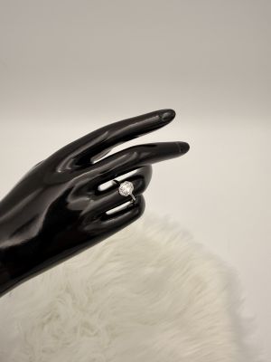 Eleganza di Luce - 3