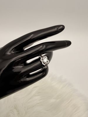 Doppio Splendore - 1